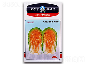 �ۼt������-��ײ˷N��-�����o