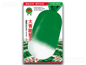 ������}��-�}���N��-��ʢ�N�I(y��)