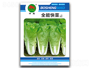 全能快菜-快菜種子-搏盛種業