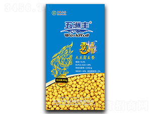 ��Ԫ����I�B��-�󶹰�����-�����S