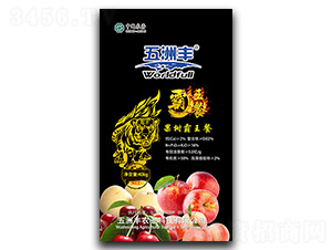 ��Ԫ����I�B��-���������-�����S