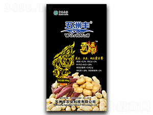 ��Ԫ����I�B��-�������������عϰ�����-�����S