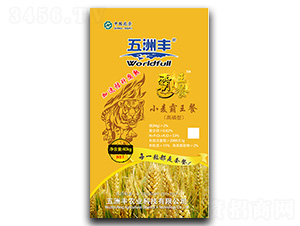 �����Ͷ�Ԫ����I�B��-���װ�����-�����S