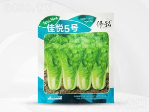 �ѐ�5̖-�ײ˷N��-��㑷N�I