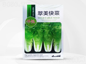 �������-�ײ˷N��-��㑷N�I