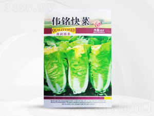 ��㑿��-�ײ˷N��-��㑷N�I