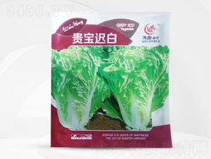 �F���t��-�ײ˷N��-��㑷N�I