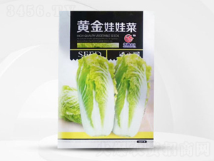 �S�����޲�-���޲˷N��-��㑷N�I