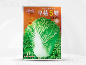 ������̖-���޲˷N��-��㑷N�I