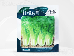 �ѐ���̖-�ײ˷N��-��㑷N�I