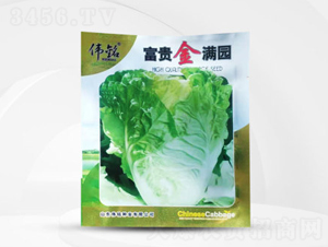 ���F��M�@-�ײ˷N��-��㑷N�I