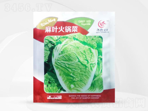 ���~��偲�-�ײ˷N��-��㑷N�I