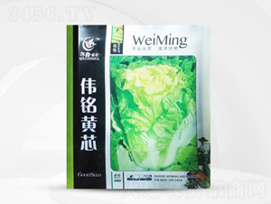 ����Sо-�ײ˷N��-��㑷N�I