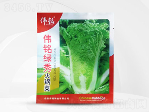 ��㑾G���偲�-�ײ˷N��-��㑷N�I