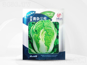 �������s��̖-�ײ˷N��-��㑷N�I