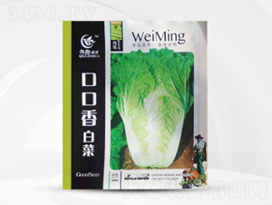 �ڿ���ײ�-�ײ˷N��-��㑷N�I