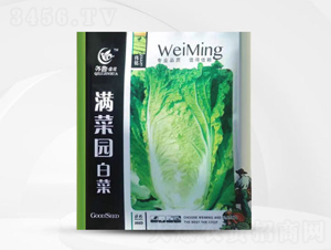 �M�ˈ@�ײ�-�ײ˷N��-��㑷N�I