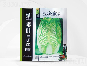 ���~158�ײ�-�ײ˷N��-��㑷N�I