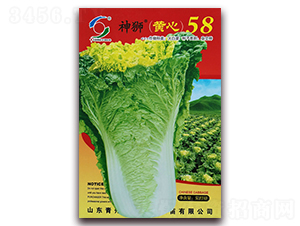 ��{�S��58-�ײ˷N��-�����o