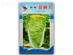 ��{�ª{��-�ײ˷N��-�����o