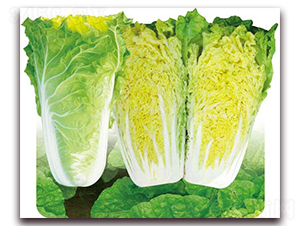 ��{58-�ײ˷N��-�����o