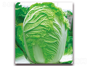 ����ϲ�r��-�ײ˷N��-�����o