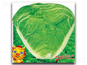 �ذ��¶�̖-�ײ˷N��-�����o