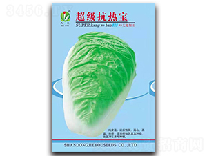 �������ጚ-�ײ˷N��-�܃��N�I