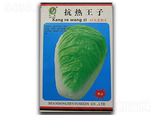 ��������-�ײ˷N��-�܃��N�I