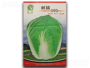 �ﲥ101-�ײ˷N��-�܃��N�I