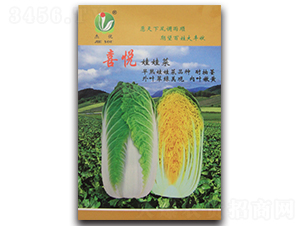 ϲ��-���޲˷N��-�܃��N�I