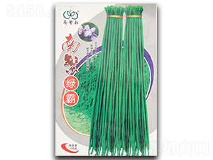 南繁綠霸-豇豆種子-杰優種業
