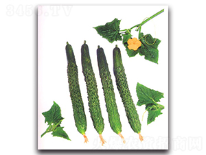 �L�����~�S��-�S�ϷN��-�r����