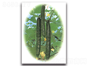 �Gʒ��̖-�S�ϷN��-�r����