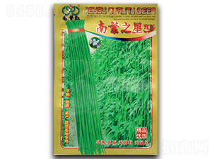 南繁之星-豇豆種子-杰優種業