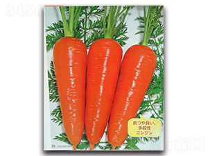 ����-���}���N��-�r(n��ng)����