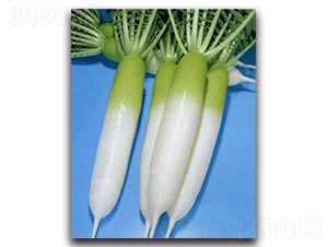 �涬�S�M(j��n)-�}���N��-�r(n��ng)����