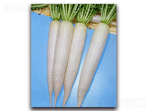 ����-�}���N��-�r(n��ng)����