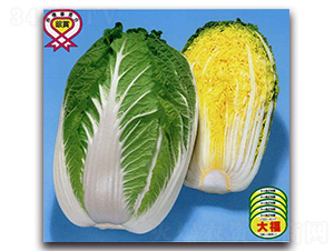 �츣�OƷ-��ײ˷N��-�r����