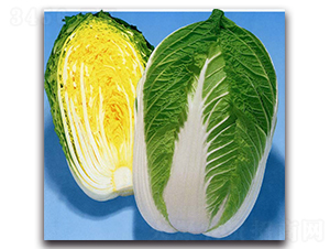 �츣75-��ײ˷N��-�r����