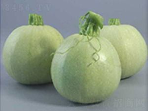 �A������-�����J�N��-���N