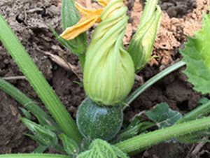 ��ɫ�����J��-�����J�N��-���N