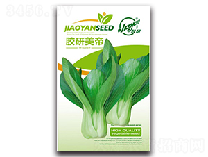 �z������-�Ͳ˷N��-�z��