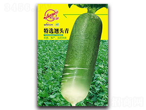 ���x�N�^��-�}���N��-�z��