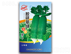 �z�д�Gˮ���}��-�}���N��-�z��