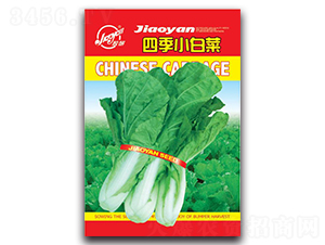 �ļ�С�ײ�-С�ײ˷N��-�z��