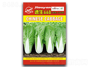 ����668-С�ײ˷N��-�z��