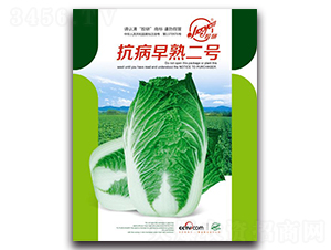 ���������̖-�ﲥ�ײ˷N��-�z��