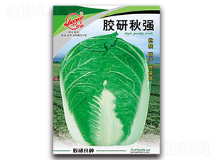 �z���-�ﲥ�ײ˷N��-�z��