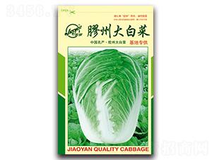 �z�ݴ�ײ�-�ﲥ�ײ˷N��-�z��